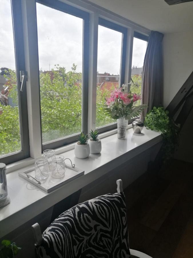 Bed and Breakfast Wittezwaan Harlingen Esterno foto