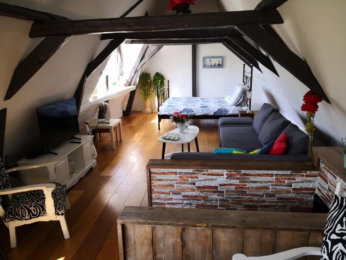 Bed and Breakfast Wittezwaan Harlingen Esterno foto