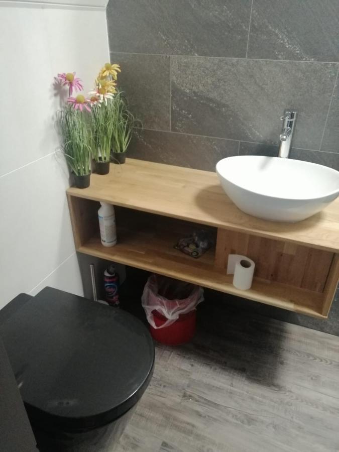 Bed and Breakfast Wittezwaan Harlingen Esterno foto
