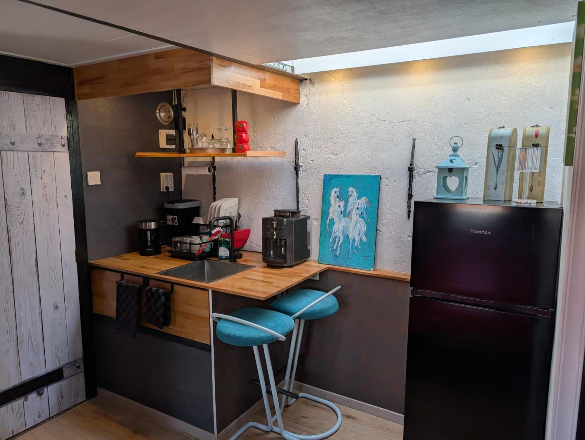 Bed and Breakfast Wittezwaan Harlingen Esterno foto