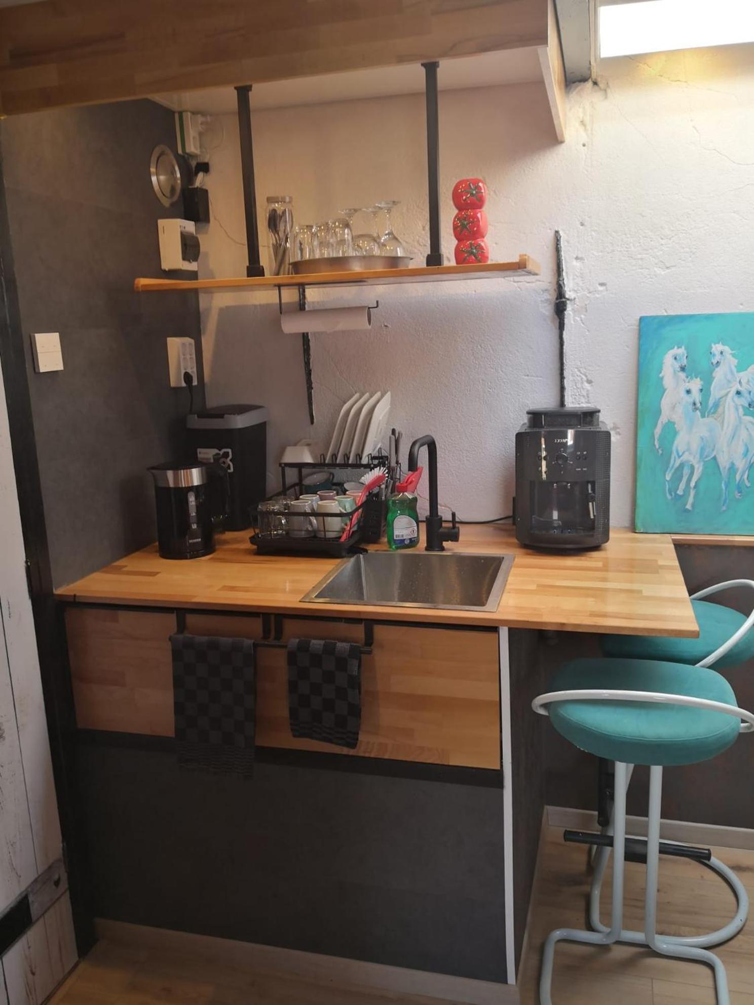Bed and Breakfast Wittezwaan Harlingen Esterno foto