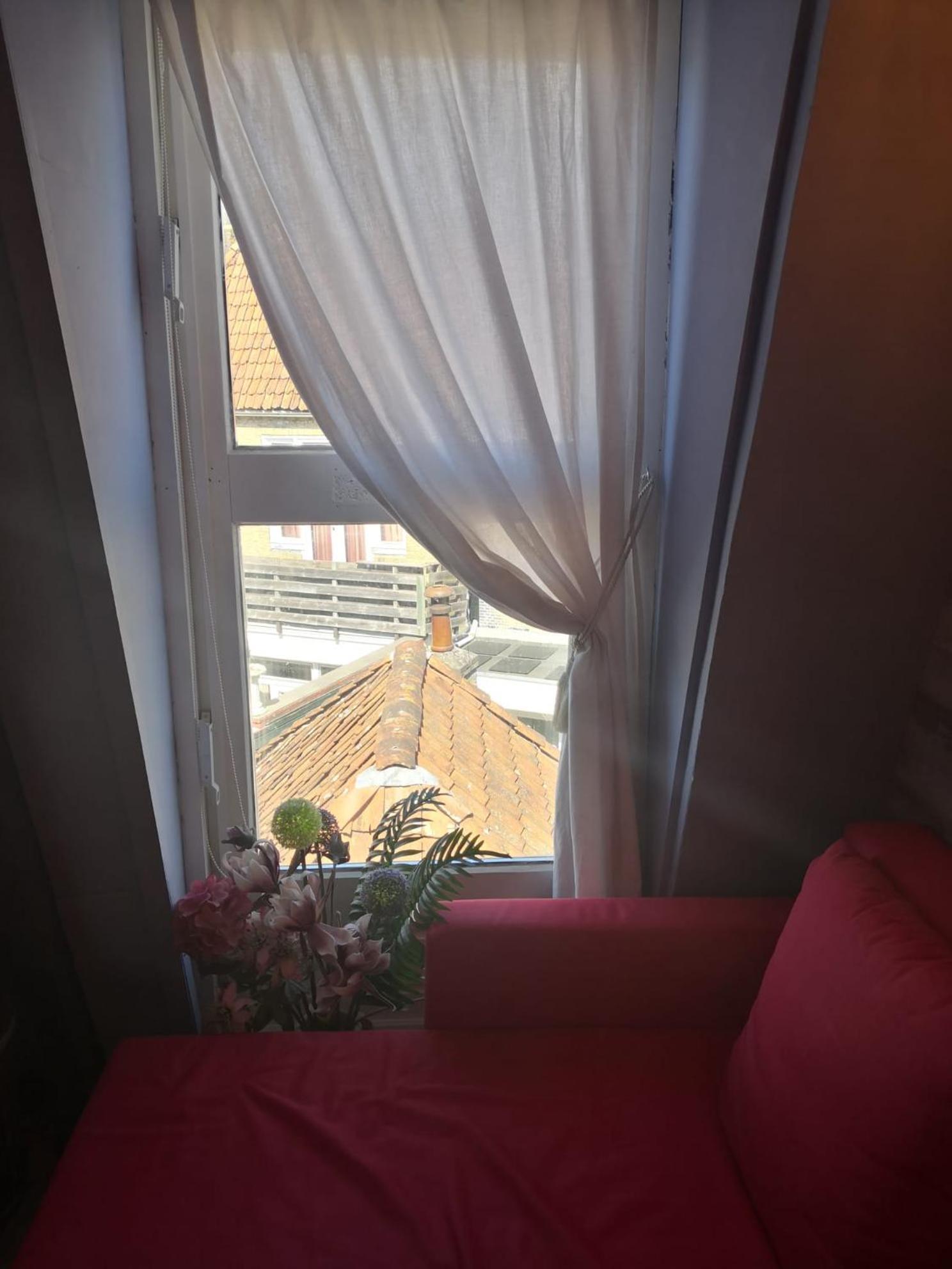 Bed and Breakfast Wittezwaan Harlingen Esterno foto
